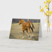 ギャロッ遠くにプ カード (黄色い花)