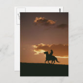 ギャロピンカウボーイシルエット ポストカード (正面/裏面)