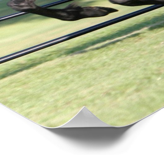 ギャロピンフライシア美しい ポスター (角)