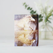 ギャロピンホワイトウォーター馬 ポストカード (スタンド正面)