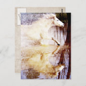 ギャロピンホワイトウォーター馬 ポストカード (正面/裏面)