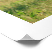 ギャロピンホースポスタープリント ポスター (角)