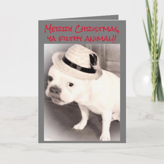 ギャングのフランスのブルドッグ汚い動物のクリスマス カード (正面)