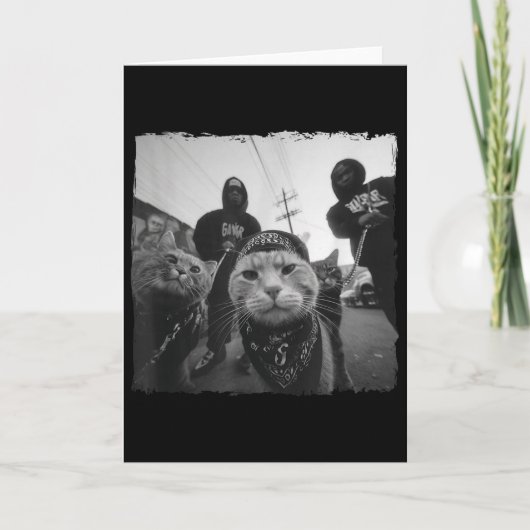 ギャング猫ストリートウェア クールな猫モチーフ 面白い カード (正面)