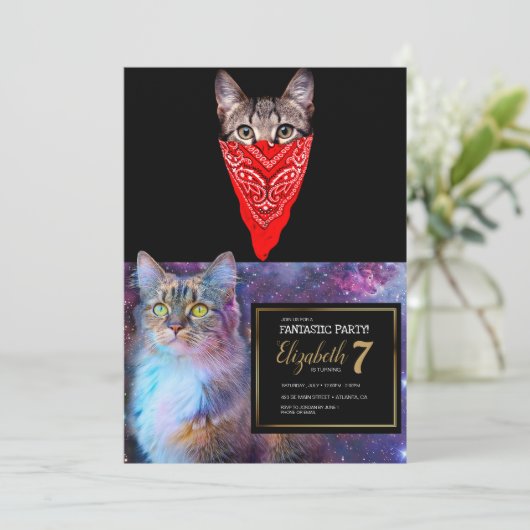 ギャング猫フード 招待状 (スタンド正面)