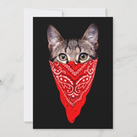 ギャング猫フード 招待状 (裏面)