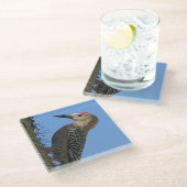ギラウッドペッカー写真ユニーク南西デザートバード ガラスコースター (アングル)