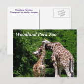 ギラッフェズアットウッドランドパーク動物園はがき ポストカード (正面/裏面)