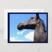 ギラフの馬のはがき ポストカード (正面/裏面)