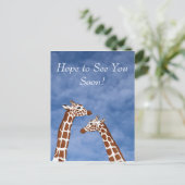 ギラフェスは近々会う ポストカード (スタンド正面)