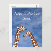 ギラフェスは近々会う ポストカード (正面/裏面)