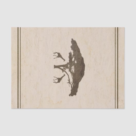 ギラフェスヴィンテージオールドワールドサファリカスタムーギフトラップ 薄葉紙 (正面)