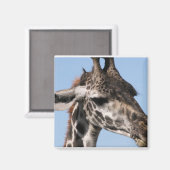 ギラフ磁石 マグネット (正面/裏面)