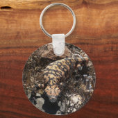 ギラモンスターキーチェーン キーホルダー (正面)