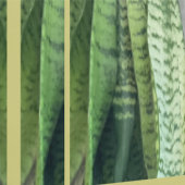 ギリガン島壁紙 | m3galleryStudio 壁紙 (縫い目)