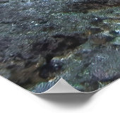 ギリグリーンカメ ポスター (角)