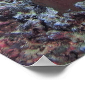 ギリグリーンカメ ポスター (角)