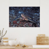 ギリグリーンカメ ポスター (キッチン)