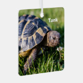 ギリシアの亀が草の中に メタルオーナメント (正面右)