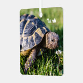 ギリシアの亀が草の中に メタルオーナメント (正面左)