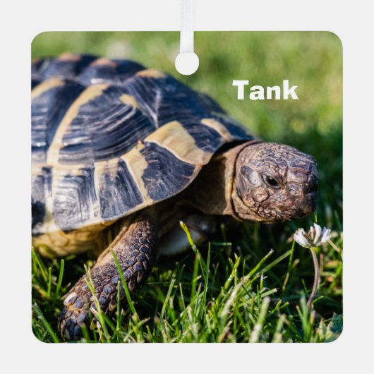 ギリシアの亀が草の中に メタルオーナメント (正面)