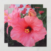 ギリシャのクレタ島の花 シーズンカード (正面/裏面)