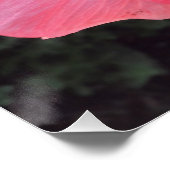 ギリシャのクレタ島の花 ポスター (コーナー)