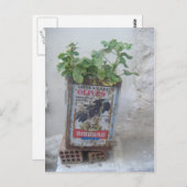 ギリシャのナクソス、オリーブスズで栽培される植物 ポストカード (正面/裏面)