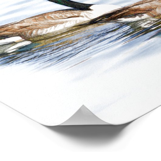 ギリシャのペア ポスター (角)