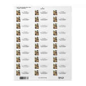 ギリシャのホプリテ ラベル (フルシート)