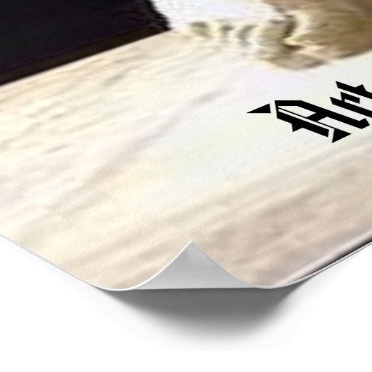 ギリシャの女神 ポスター (角)