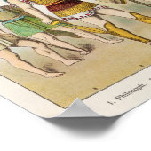 ギリシャの宗教的および軍隊ドレス ポスター (角)