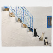 ギリシャの村の白い階段に多くの猫 フリースブランケット (正面(横))