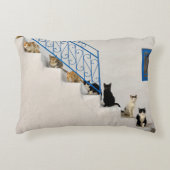 ギリシャの村の白い階段に猫がたくさん アクセントクッション (正面)