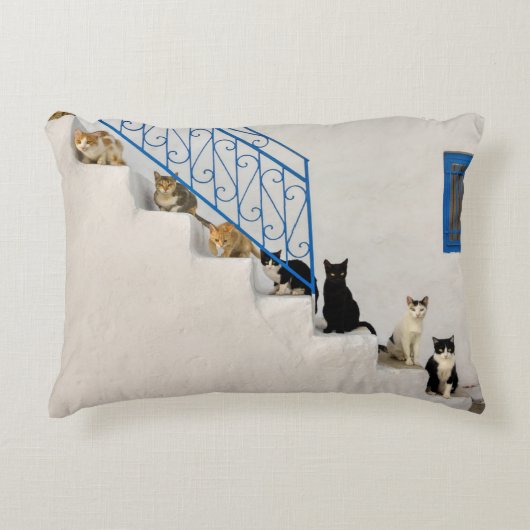 ギリシャの村の白い階段に猫がたくさん アクセントクッション (正面)