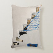 ギリシャの村の白い階段に猫がたくさん アクセントクッション (正面(垂直))