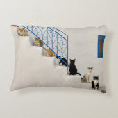 ギリシャの村の白い階段に猫がたくさん アクセントクッション (裏面)