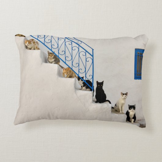ギリシャの村の白い階段に猫がたくさん アクセントクッション (裏面)