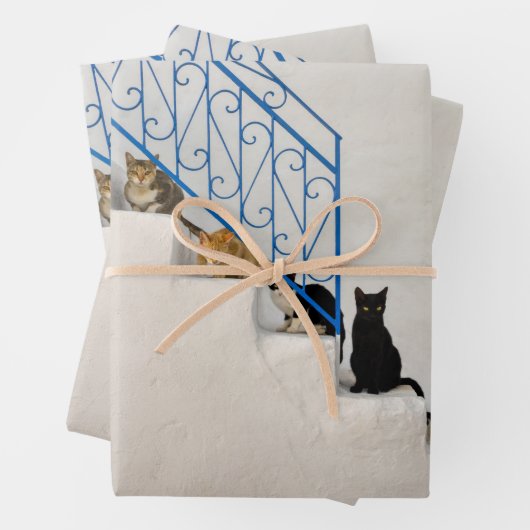 ギリシャの村の白い階段に猫がたくさん ラッピングペーパーシート (インサイチュ)