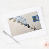 ギリシャの村の白い階段に猫がたくさん 長方形シール (封筒)