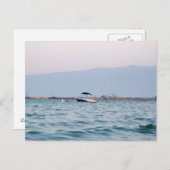 ギリシャの海 ポストカード (正面/裏面)