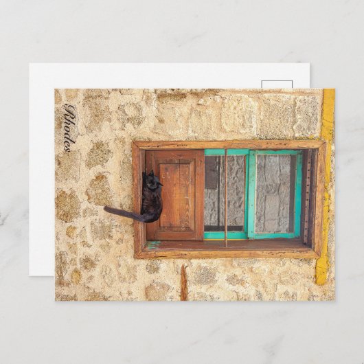 ギリシャの猫 ポストカード (正面/裏面)