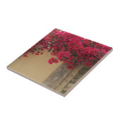 ギリシャの素朴建物のブーゲンビリア タイル (側面)