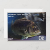 ギリシャの郵便切手Common dentex ポストカード (正面/裏面)