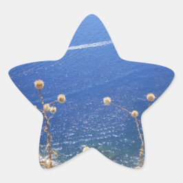 ギリシャの青い海 星シール