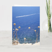 ギリシャブルーシー誕生日カード カード (裏面)