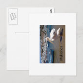 ギリシャミコノスペトロス ポストカード (正面/裏面)