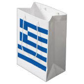 ギリシャ国旗（ギリシャ） ミディアムペーパーバッグ (正面アングル)