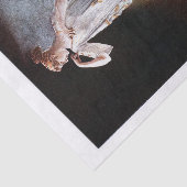 ギリシャ女性デコパージュ 薄葉紙 (詳細)