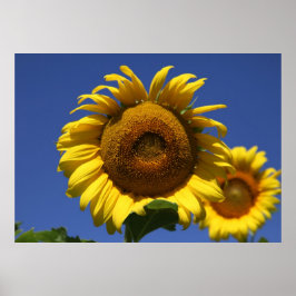 ギリシャ式 ポスター